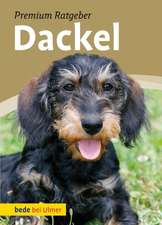 Dackel