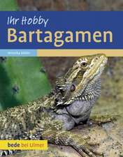 Müller, V: Bartagamen