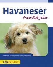 Havaneser