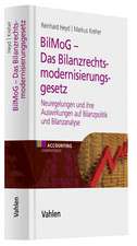 Das Bilanzrechtsmodernisierungsgesetz (BilMoG)