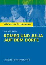 Romeo und Julia auf dem Dorfe. Textanalyse und Interpretation