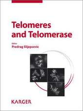 Telomeres and Telomerase