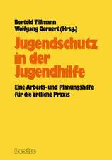 Jugendschutz in der Jugendhilfe: Eine Arbeits- und Planungshilfe für die örtliche Praxis