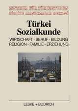 Türkei-Sozialkunde: Wirtschaft, Beruf, Bildung, Religion, Familie, Erziehung