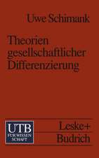 Theorien gesellschaftlicher Differenzierung