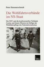 Die Wohlfahrtsverbände im NS-Staat: Die NSV und die konfessionellen Verbände Caritas und Innere Mission im Gefüge der Wohlfahrtspflege des Nationalsozialismus