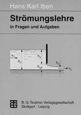 Strömungslehre in Fragen und Aufgaben