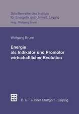 Energie als Indikator und Promotor wirtschaftlicher Evolution