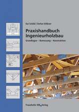 Praxishandbuch Ingenieurholzbau