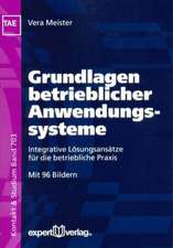 Grundlagen betrieblicher Anwendungssysteme