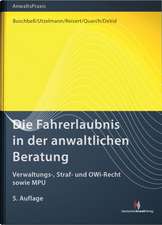 Die Fahrerlaubnis in der anwaltlichen Beratung