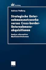 Strategische Unternehmensnetzwerke versus Cross-border-Unternehmensakquisitionen: Analyse alternativer Markteintrittsformen