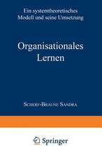 Organisationales Lernen: Ein systemtheoretisches Modell und seine Umsetzung