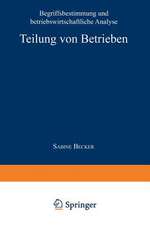 Teilung von Betrieben: Begriffsbestimmung und betriebswirtschaftliche Analyse