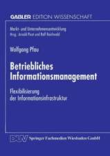 Betriebliches Informationsmanagement: Flexibilisierung der Informationsinfrastruktur