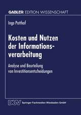 Kosten und Nutzen der Informationsverarbeitung: Analyse und Beurteilung von Investitionsentscheidungen