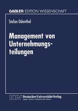 Management von Unternehmungsteilungen