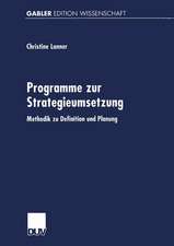 Programme zur Strategieumsetzung: Methodik zu Definition und Planung