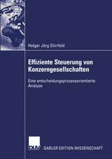 Effiziente Steuerung von Konzerngesellschaften: Eine entscheidungsprozessorientierte Analyse