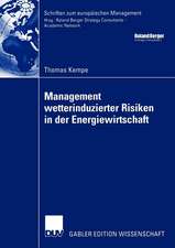 Management wetterinduzierter Risiken in der Energiewirtschaft