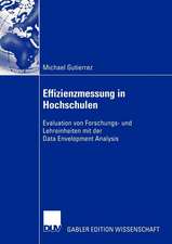 Effizienzmessung in Hochschulen: Evaluation von Forschungs- und Lehreinheiten mit der Data Envelopment Analysis