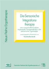 Die Sensorische Integrationstherapie