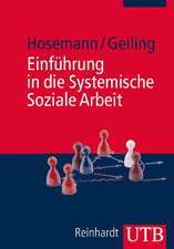 Einführung in die Systemische Soziale Arbeit