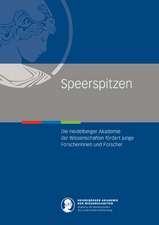 Speerspitzen