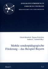 Mobile sonderpädagogische Förderung - das Beispiel Bayern