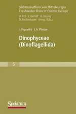 Dinophyceae: (Dinoflagellida)