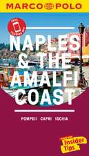 Naples & the Amalfi Coast Marco Polo Pocket Travel Guide 2019 - with pull out map