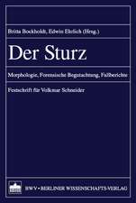 Der Sturz