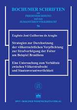 Strategien zur Durchsetzung der völkerrechtlichen Verpflichtung zur Strafverfolgung der Folter am Beispiel Brasiliens