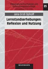 Lernstandserhebungen: Reflexion und Nutzung