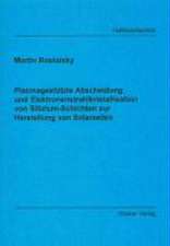 Plasmagestützte Abscheidung und Elektronenstrahlkristallisation von Silizium-Schichten zur Herstellung von Solarzellen