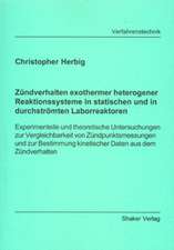 Zündverhalten exothermer heterogener Reaktionssysteme in statischen und in durchströmten Laborreaktoren