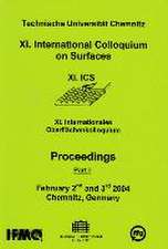 International Colloquium on Surfaces (11.)