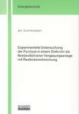 Experimentelle Untersuchung der Pyrolyse in einem Drehrohr als Bestandteil einer Vergasungsanlage mit Restkoksverbrennung