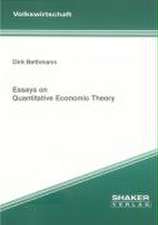 Essays on Quantitative Economic Theory