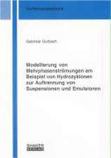 Modellierung von Mehrphasenströmungen am Beispiel von Hydrozyklonen zur Auftrennung von Suspensionen und Emulsionen