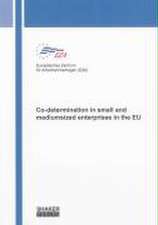 Co-determination in small and mediumsized enterprises in the EU