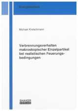 Verbrennungsverhalten makroskopischer Einzelpartikel bei realistischen Feuerungsbedingungen