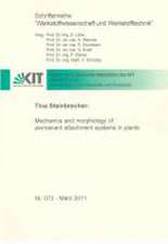 Mechanics and morphology of permanent attachment systems in plants