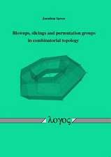 Blowups, Slicings and Permutation Groups in Combinatorial Topology