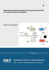 Metabolic and Bioprocess Engineering of Production Cell Lines for Recombinant Protein Production