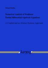 Numerical Analysis of Nonlinear Partial Differential-Algebraic Equations