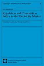 Regulation and Competition Policy in the Electricity Market