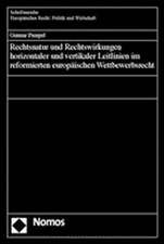 Rechtsnatur und Rechtswirkungen horizontaler und vertikaler Leitlinien im refomierten europäischen Wettbewerbsrecht