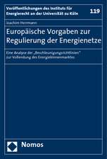 Europäische Vorgaben zur Regulierung der Energienetze