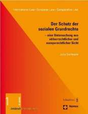 Der Schutz der sozialen Grundrechte